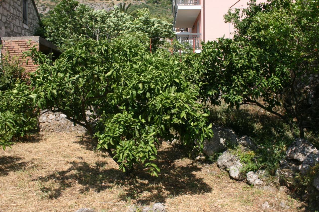 Apartments By The Sea Podaca, Makarska - 6874 Dış mekan fotoğraf